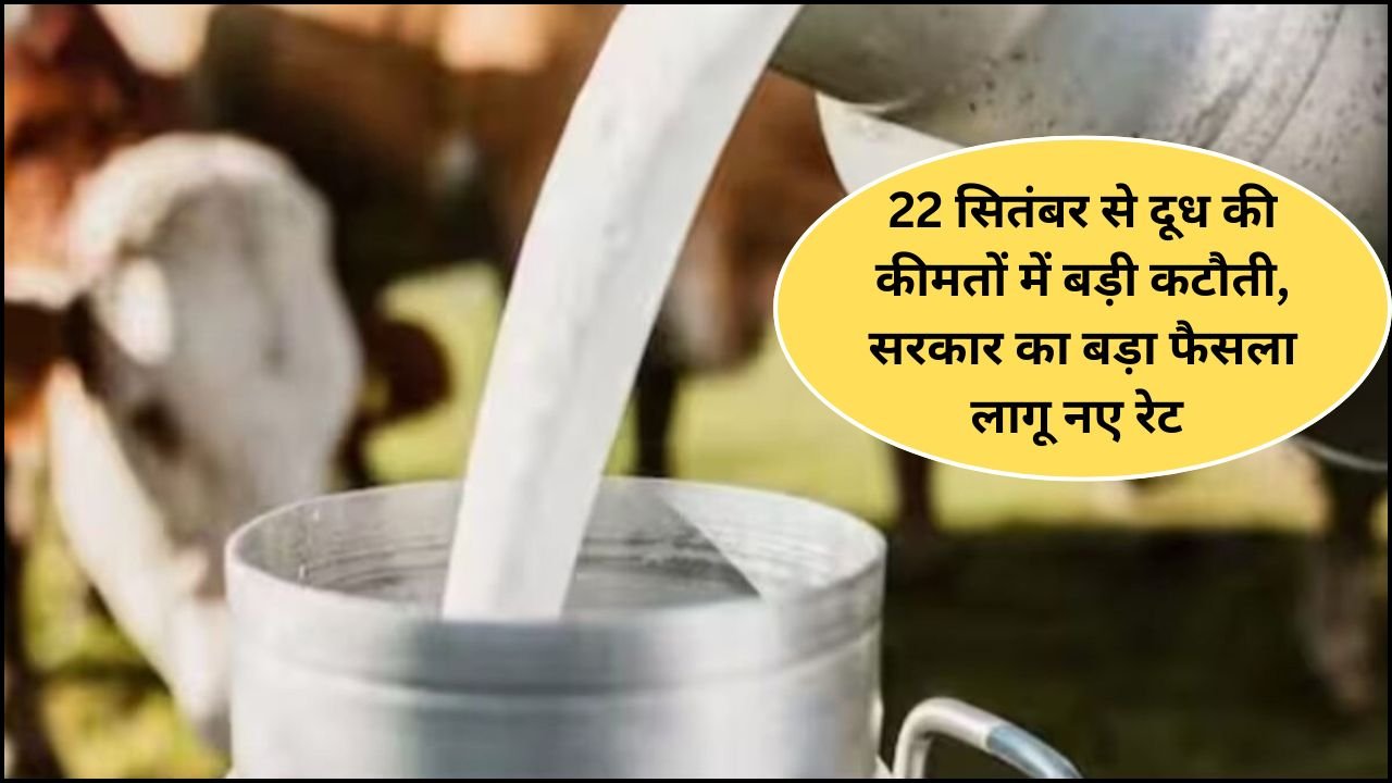 22 सितंबर से दूध की कीमतों में बड़ी कटौती, अब घर-घर पहुंचेगा सस्ता दूध, सरकार का बड़ा फैसला लागू