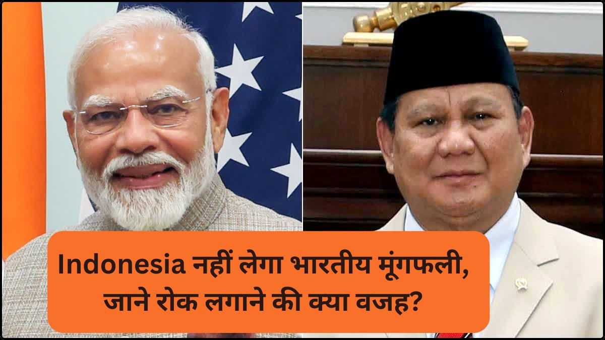 Indian peanut export ban: US tariff के बीच लगा बड़ा झटका, Indonesia नहीं लेगा भारतीय मूंगफली, जाने रोक लगाने की क्‍या वजह?